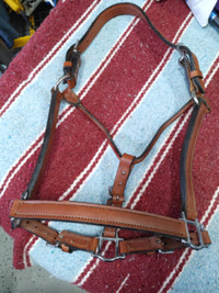 Leather show halter