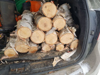 Buches de bouleau 16'' Birch logs 4-5''D