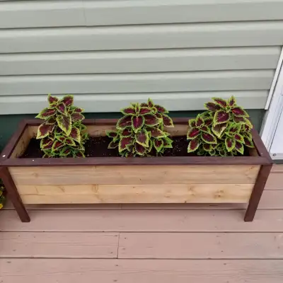 PLANTER BOXES - CEDAR AND PRESSURE TREATED, View more