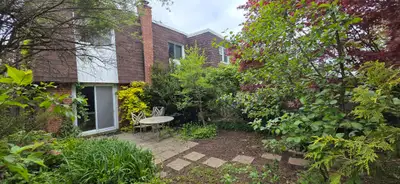 Beautiful, Bright Walkout Garden Apartment from July 20th