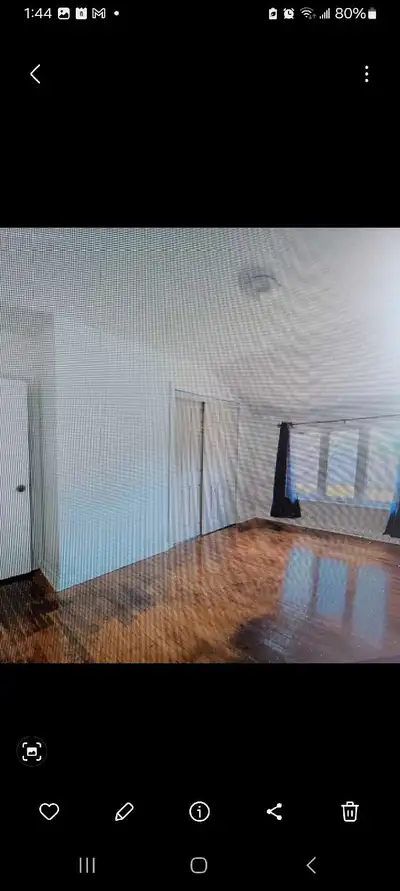 3 bedroom apartment for rent