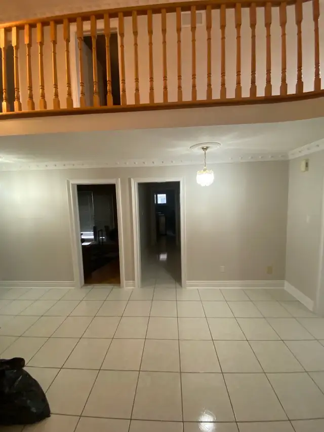 AFFORDABLE, PROFESSIONAL PAINTER 523046312624803843