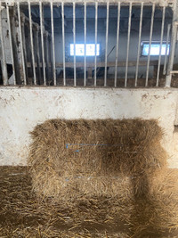 Small square  and 4x5 round bales  of straw