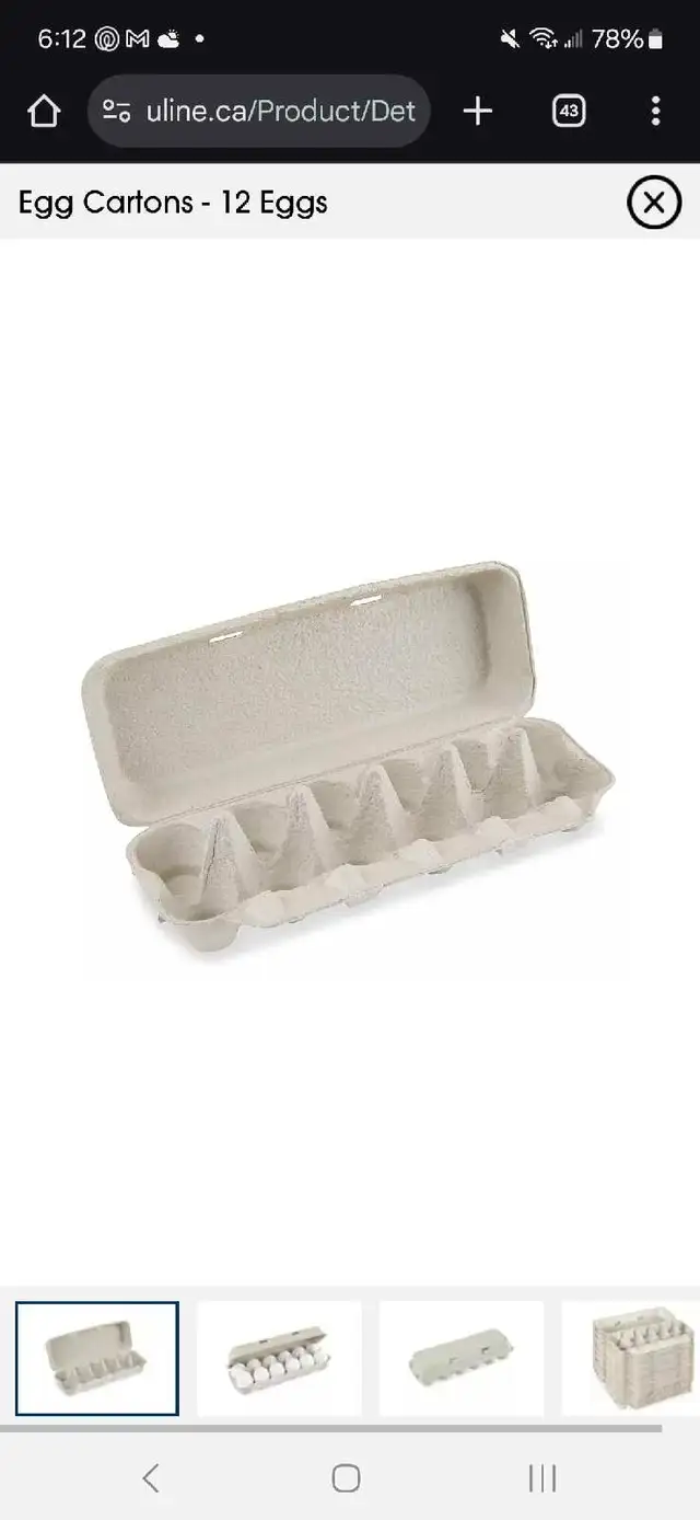 farm fresh eggs  in Livestock in Moncton - Image 2
