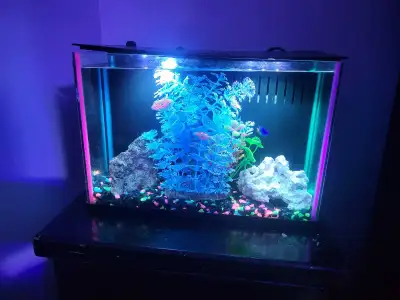 5 gallon AOI saltwater GLOW tank, View more