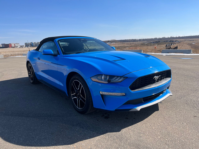 2023 Ford Mustang in Cars & Trucks in Strathcona County - Image 3