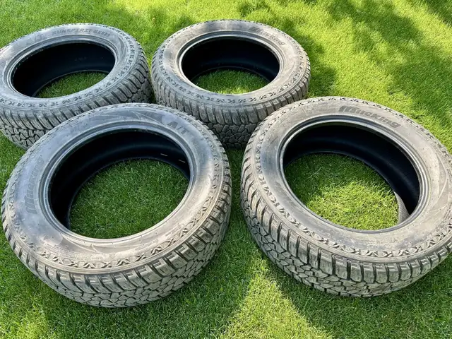 305/55R20 121/118S E (10 Ply) A/T M+S Tires in Tires & Rims in Saskatoon - Image 2