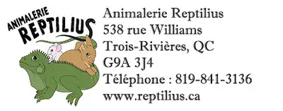 animalerie spécialisée reptile, rongeur, lagomorphe, View more