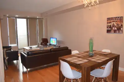 Furnished apartment steps from metro Guy and universities
