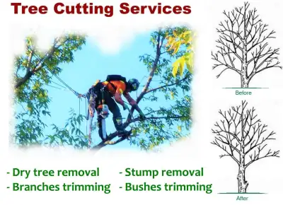 Tree Cutting and Removal Services Richmond Hill, View more