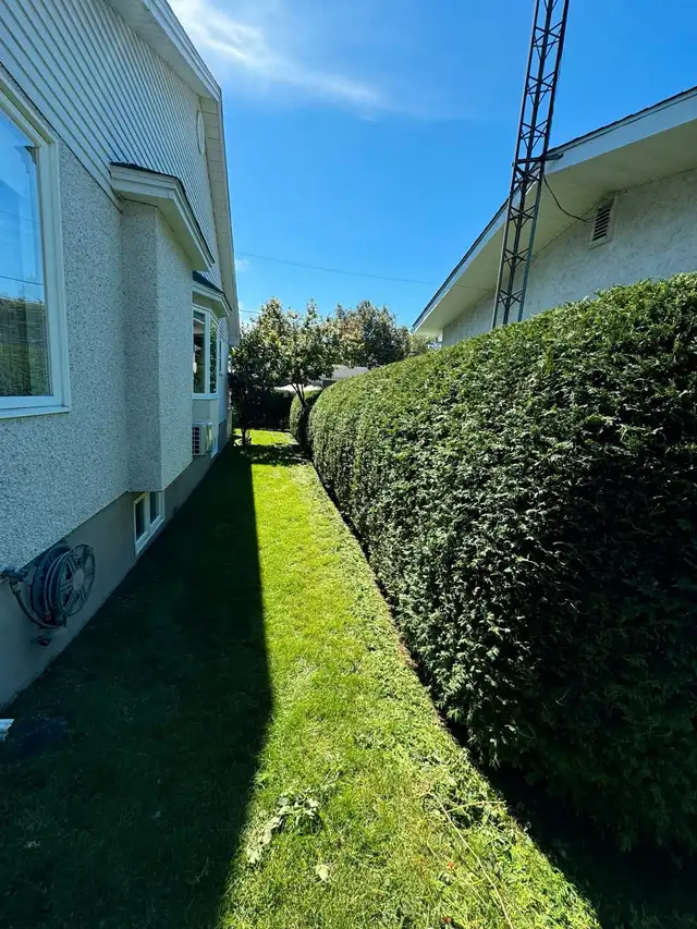 Landscape Maintenance62863226440963122