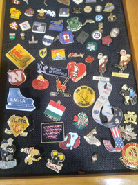 Collectable pins with cabinet