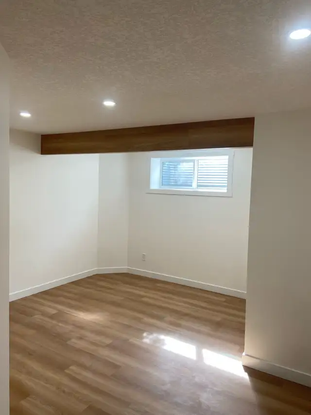 basement development and home renos