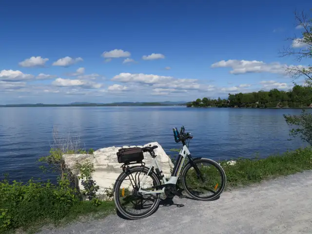 VAE Gazelle in eBike in Longueuil / South Shore - Image 2
