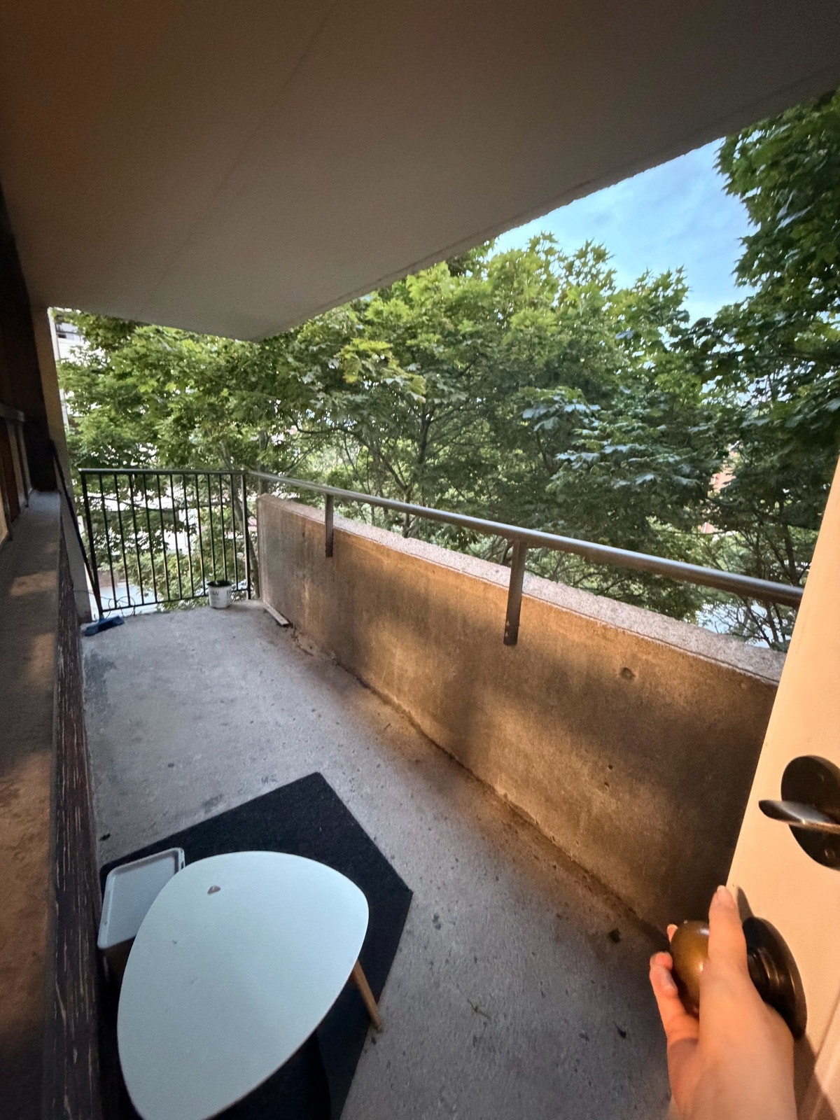 CESSION DE BAIL - Grand 3 1/2 — photo 2