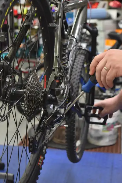 With the weather getting better. It's time to get the bicycles back out. To make sure everything is...