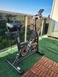 DMASUN Exercise Bike, Plus/Pro Magnetic Resistance/Brake Pad 