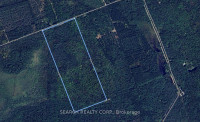 99 Acre Vacant Land For Sale Close To Huntsville ON