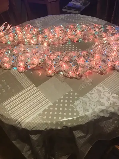 filet de Noël: 2 set de lumières pour Noël intérieur/exterieur 24$ pour les deux ou 15$ chaque Chaqu...