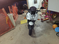 Moto Fz6r