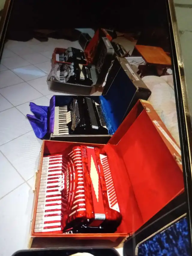 vintage musical instruments in Other in Markham / York Region - Image 3