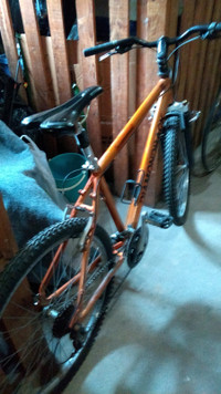 Diamondback Copperhead Mtn bike, excellent condition!