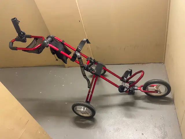 Folding 3 wheeled Golf Cart