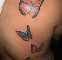 Butterfly Tattoos 
