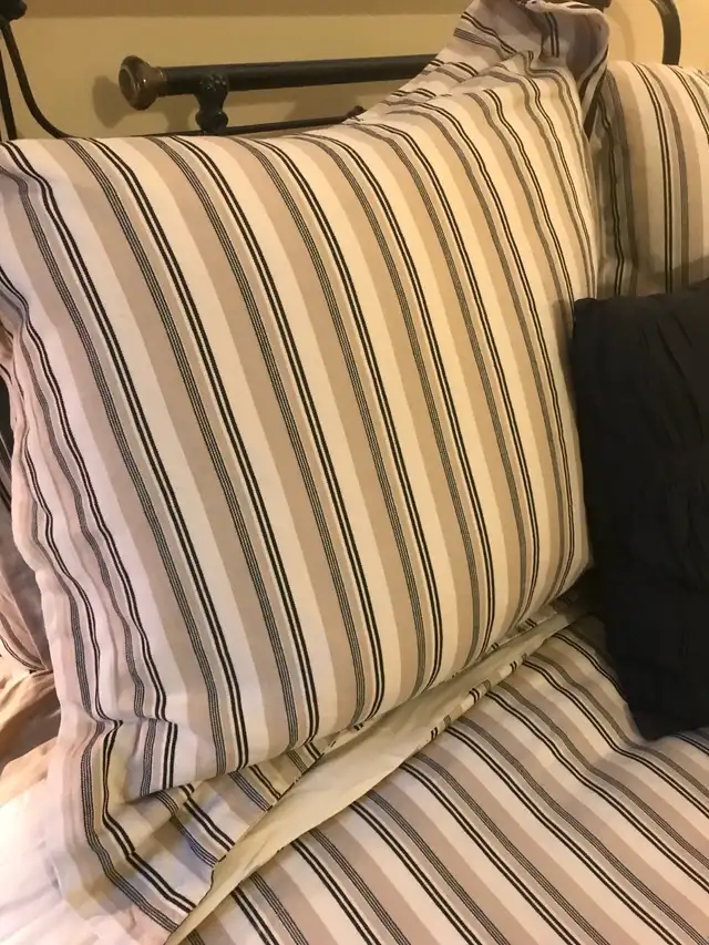 Pottery Barn Queen Reversible Duvet Cover Euro & Standard Shams in Bedding in City of Toronto - Image 4