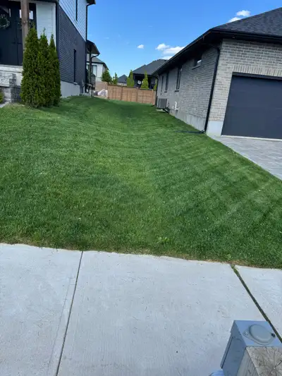 Grass Cutting & Landscaping, View more