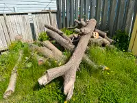 Free wood for self pick up in Downtown Kitchener