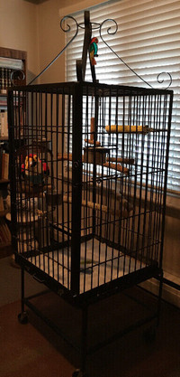 Large Cast Iron Cage for Parrots