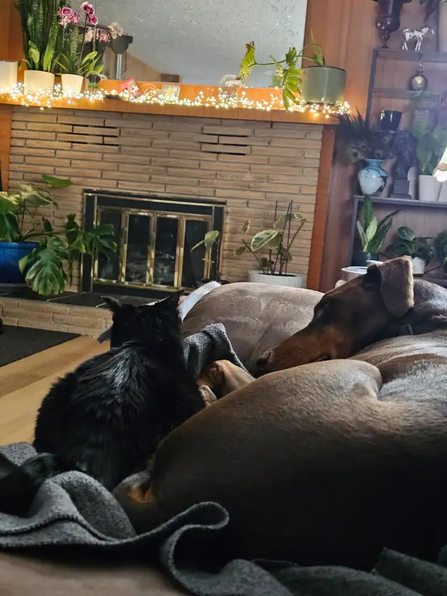 Private Room for Rent