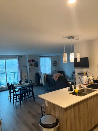 Looking for someone to take over my lease for June 1st: North Station is a modernly designed rental...