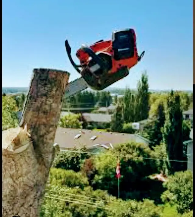 ISO of Running Vehicle! in Other in Red Deer - Image 6