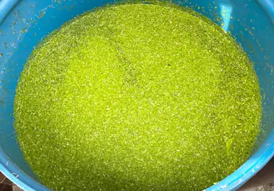 Large Portion Aquarium Plant - Duckweed, View more