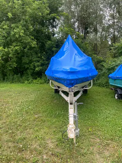 17foot boat needs love I don’t really know the story on it trailer in amazing shape tho I know the e...
