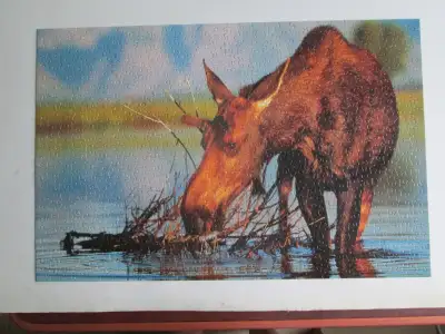puzzle - Moose (750 pcs), View more