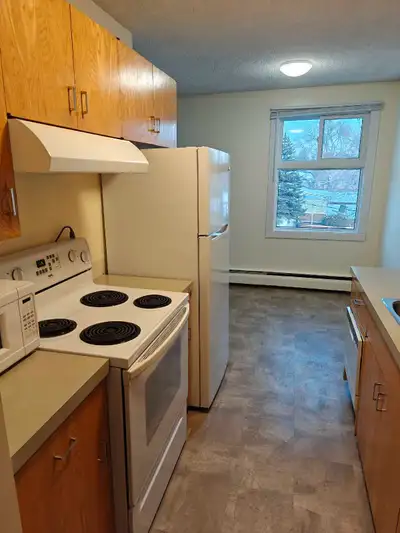 two bedroom apartment for rent