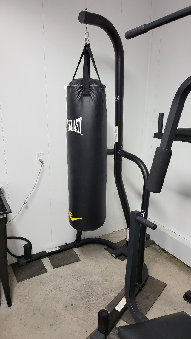 Ensemble de punching bag Everlast 100 lbrs sur stand 360$ dans Autre  à Lévis