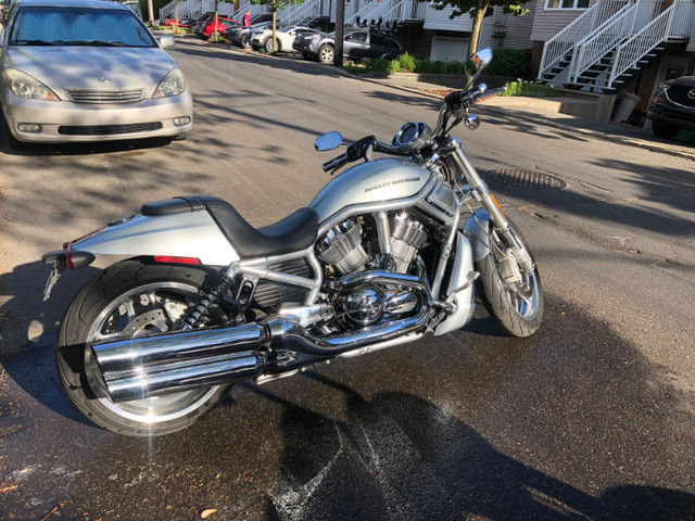 Harley Davidson VROD spécial 10ème anniversaire toute chrome dans Routières sportives  à Ville de Montréal - Image 2