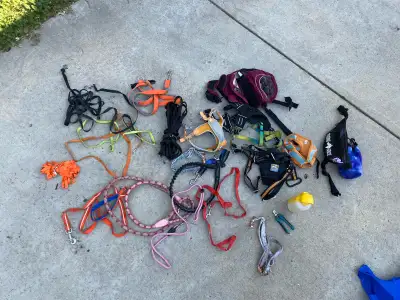 Lot of small breed dog accessories, View more