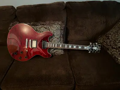 D'Angelico Premier DC Semi Hollow Body Guitar, View more