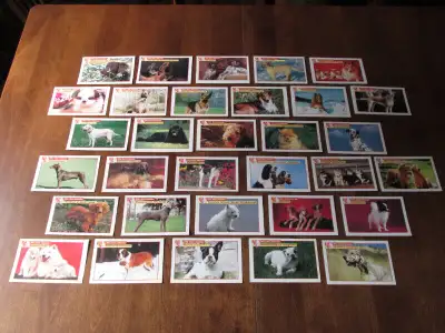 GLGL. COLLECTION DE 32 FICHES DE CHIENS AVEC GUIDE, View more