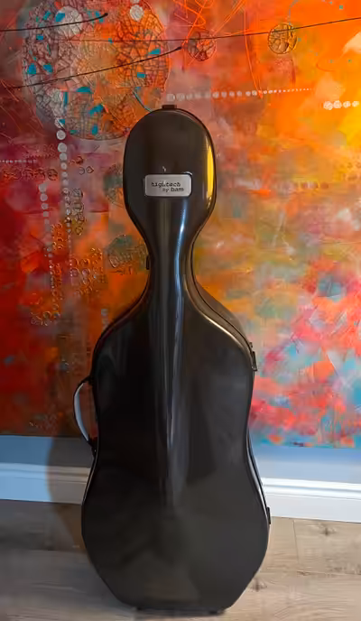 Beautiful high end Bam Hightech compact 3.5 cello case 4/4 NEW Made in France WEIGHT : The case weig...