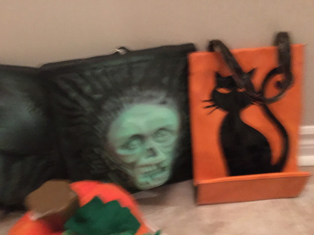 Halloween bundle in Home Décor & Accents in Oshawa / Durham Region - Image 3