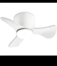 Ceiling Fan with Lights Remote Control, 22 lnch Small Ceiling Fa
