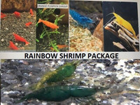 Rainbow Shrimp Package Special-$2.40 to $2.00 ea.