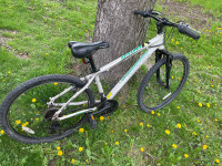 Adults Diadora Savana frame.21 speed mountain bike 