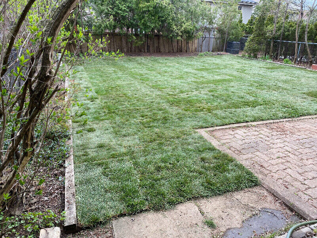 $1.50 SPRING SPECIAL SOD INSTALLATION BOOK NOW ALSO DO INTERLOCK in Plants, Fertilizer & Soil in Markham / York Region - Image 3